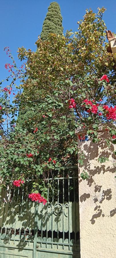 Athenian Asty Guesthouse Atenas Exterior foto