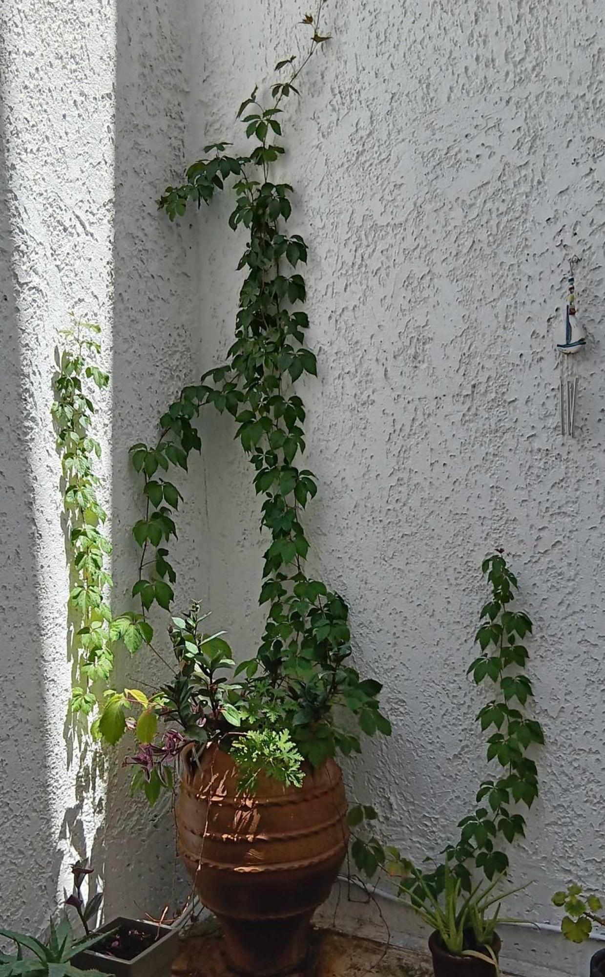 Athenian Asty Guesthouse Atenas Exterior foto